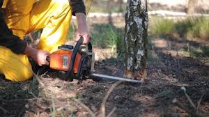Soil Testing and Treatment in Canton, NC